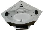 Mesa 608A SST2-Corner 2 Person Steam Shower Tub Combo MSRP $6735.00