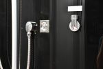 Platinum DZ956F8 Black 2-Person Steam Shower MSRP $6435.00