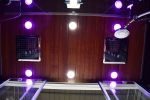 DZ972-3F8 Platinum 2-Person Black Steam Shower MSRP $8235.00