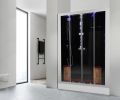 DZ972-3F8 Platinum 2-Person Black Steam Shower MSRP $8235.00