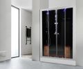 DZ972-3F8 Platinum 2-Person Black Steam Shower MSRP $7485.00